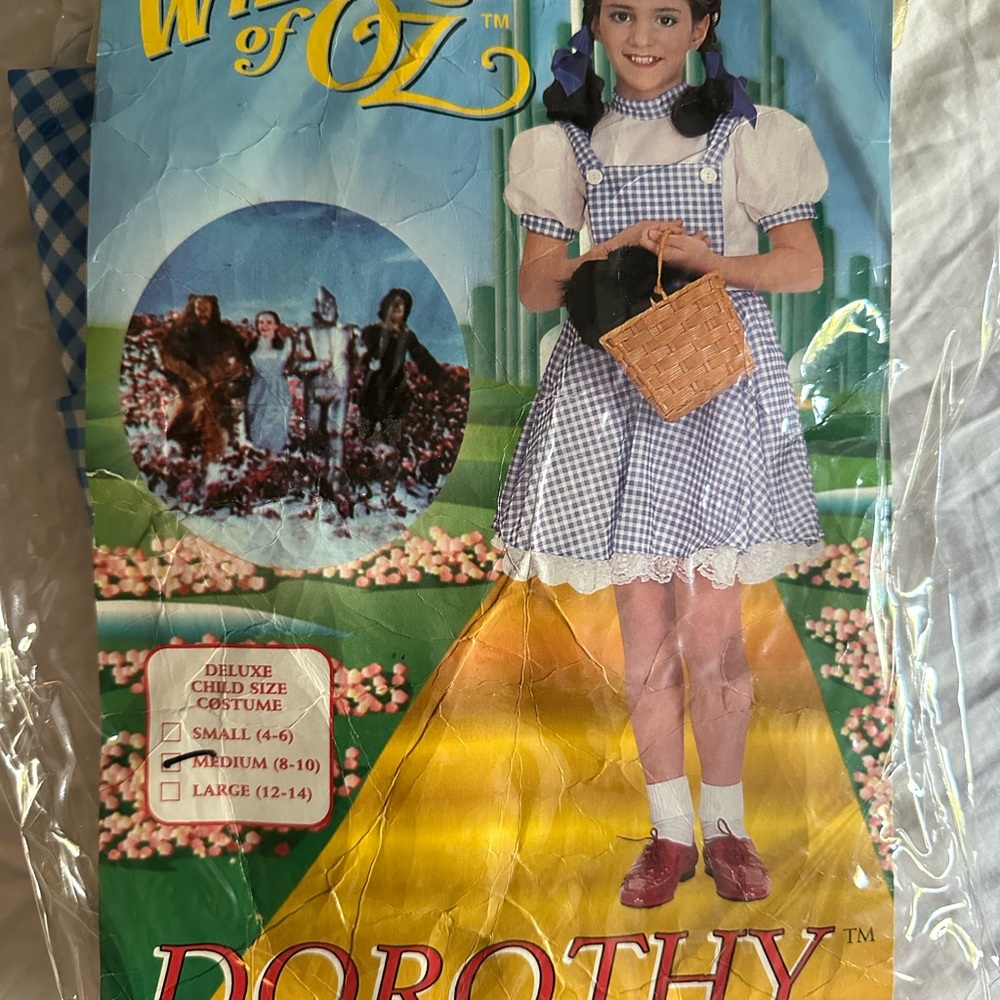 Dorothy Costume with Blue Gingham Dress